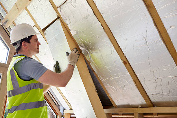 Best Insulation Installation Services in La Feria, TX